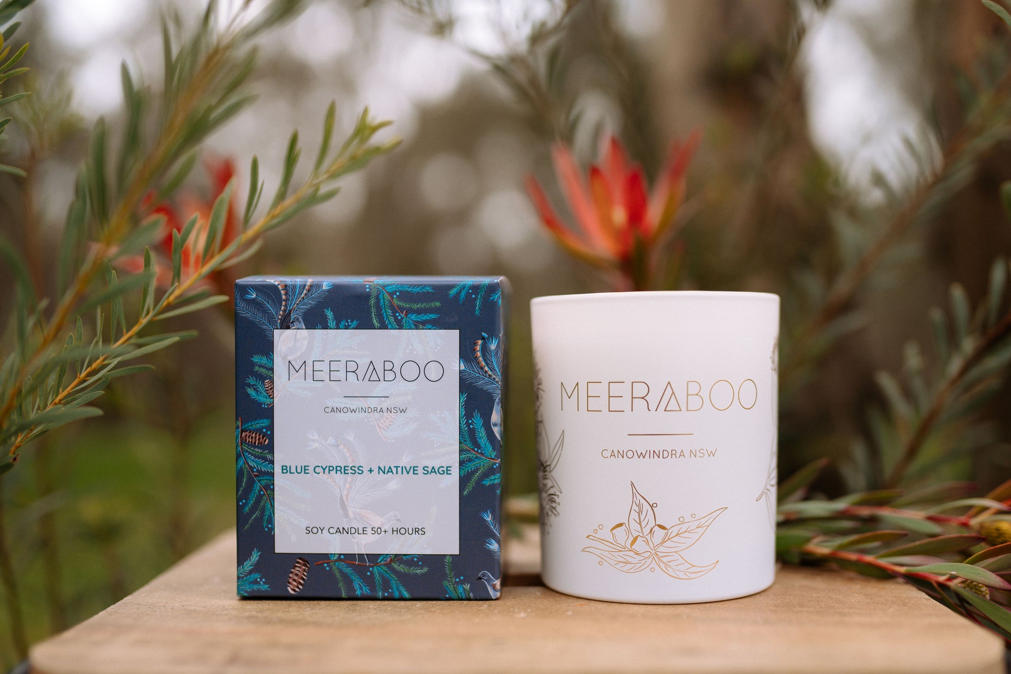 Behind the Scents / Blue Cypress + Native Sage