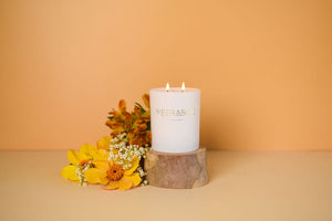 Golden Wattle Soy Candle | Wholesale