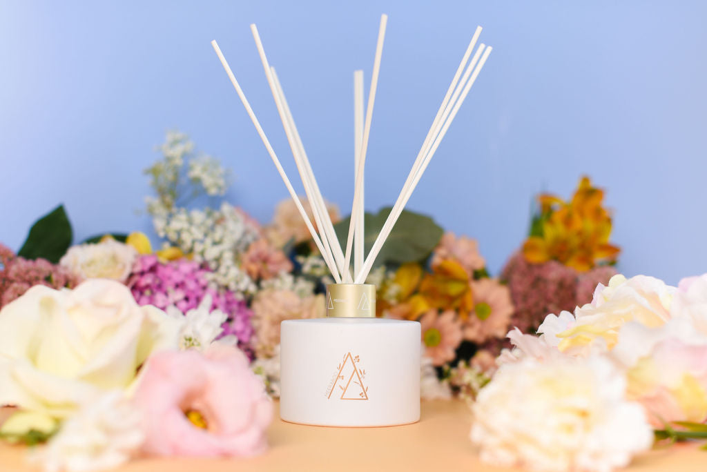 Paper Daisy Reed Diffuser | Wholesale