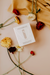 Willow Boxed Soy Candle | Wholesale