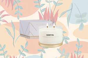 Desert Pea Gold Lid Soy Candle | Wholesale PRE ORDER